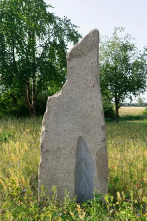 pointed boulder in a natural meadow