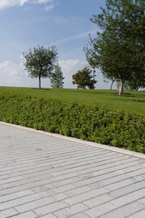 stone strip paving with green area in the background