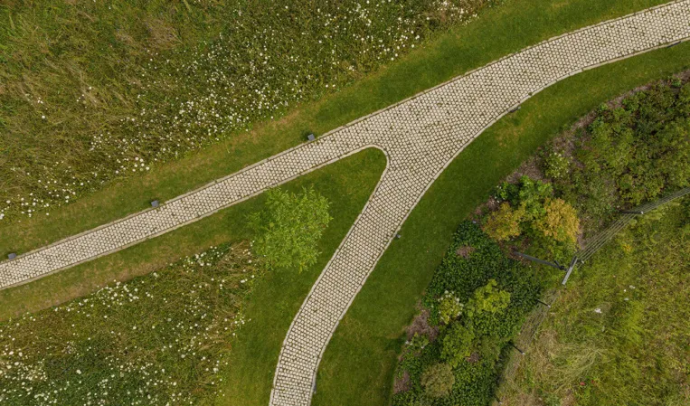 large natural park with a paved path