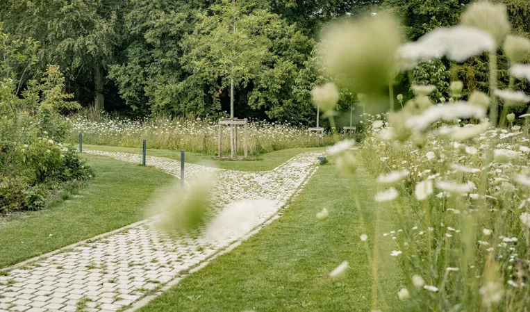 naturalistic paving with white flowers in the foreground