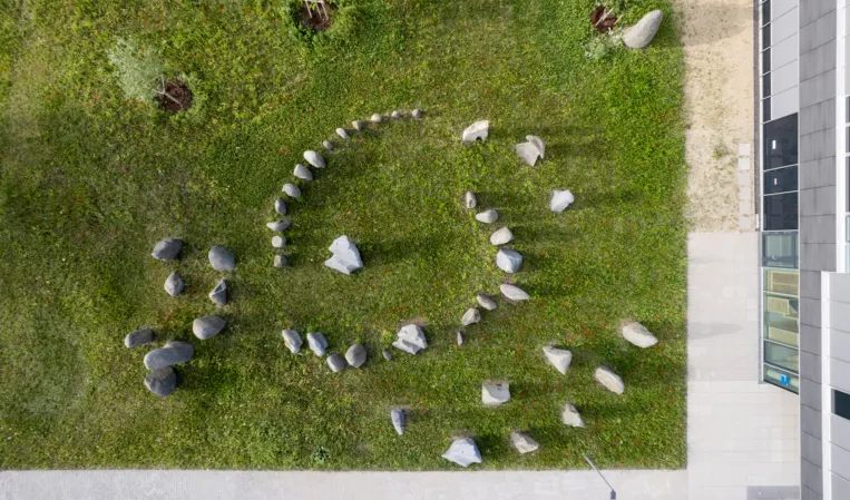 top view of an artwork made of boulders arranged in a circle