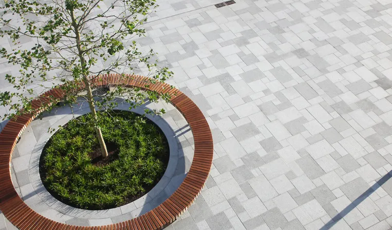 granite paving with tree island and circular bench