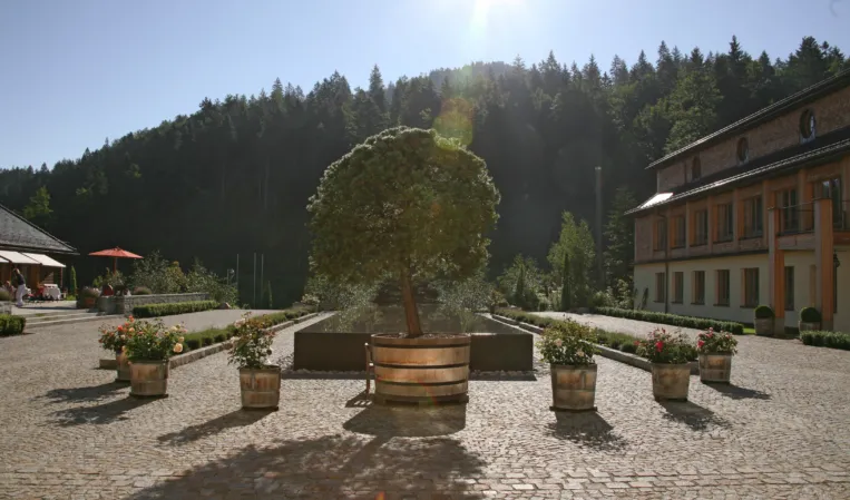 Wassertisch mit Spiegelung