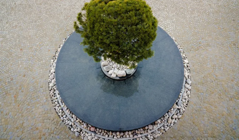 Wassertisch mit Sicht von oben und einem Baum in der Mitte