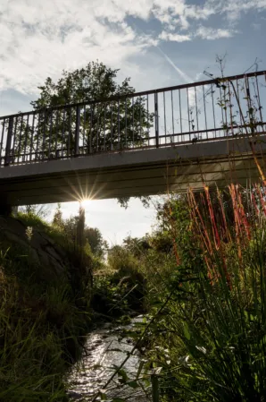 natürlicher Bachlauf mit Granitbrücke