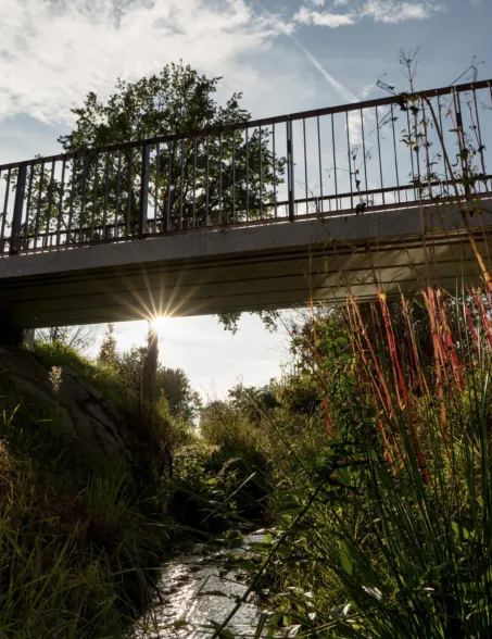 natürlicher Bachlauf mit Granitbrücke