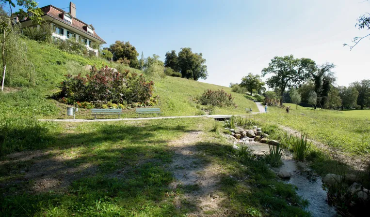Teichbrücke in einem Naturpark