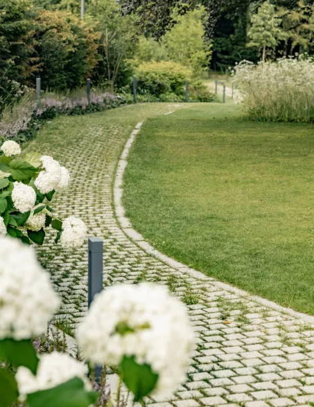 Paved path with open joint pattern and abundant natural greenery